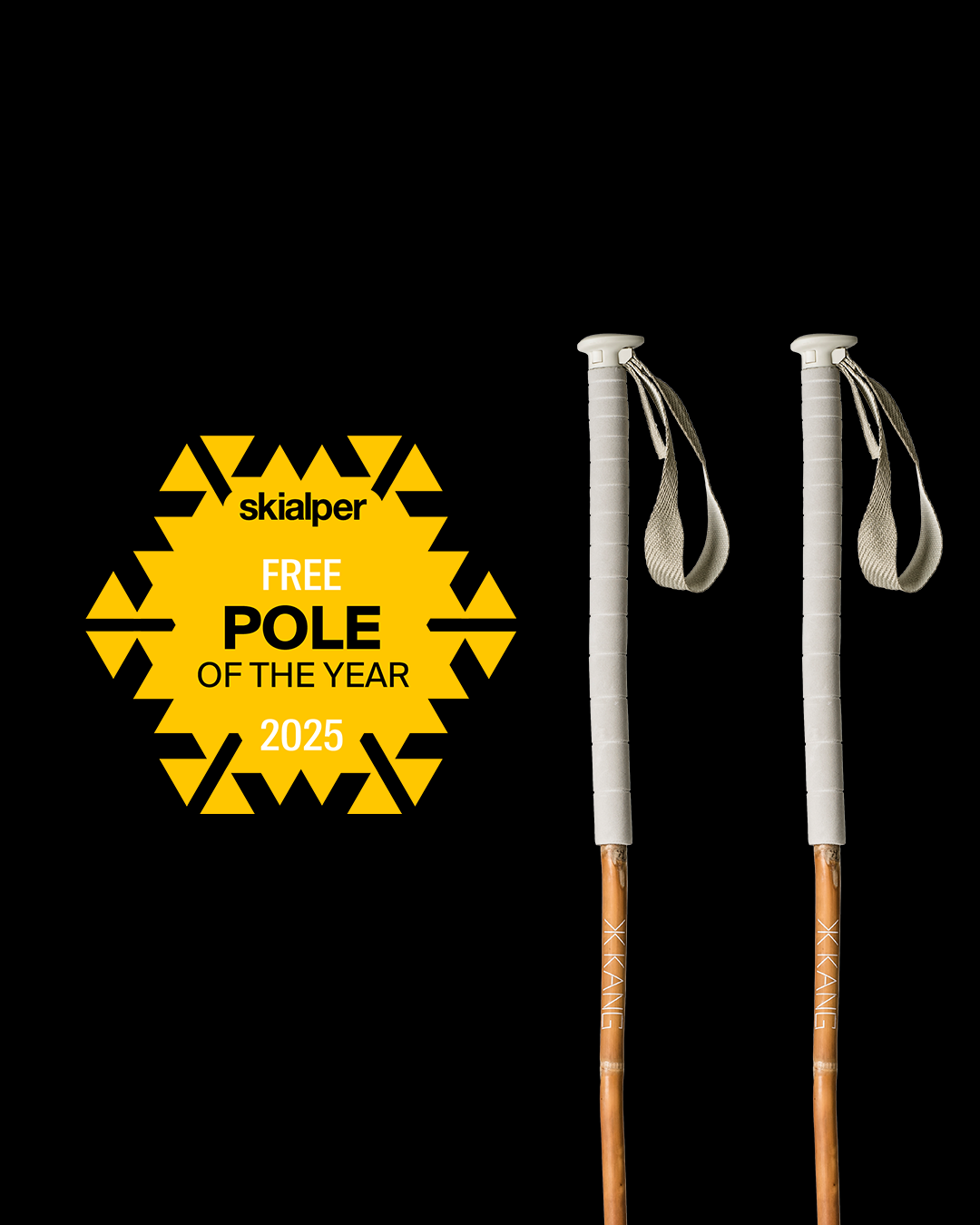 Bamboo Freeride is Ski alper magazine freeride pole of the year