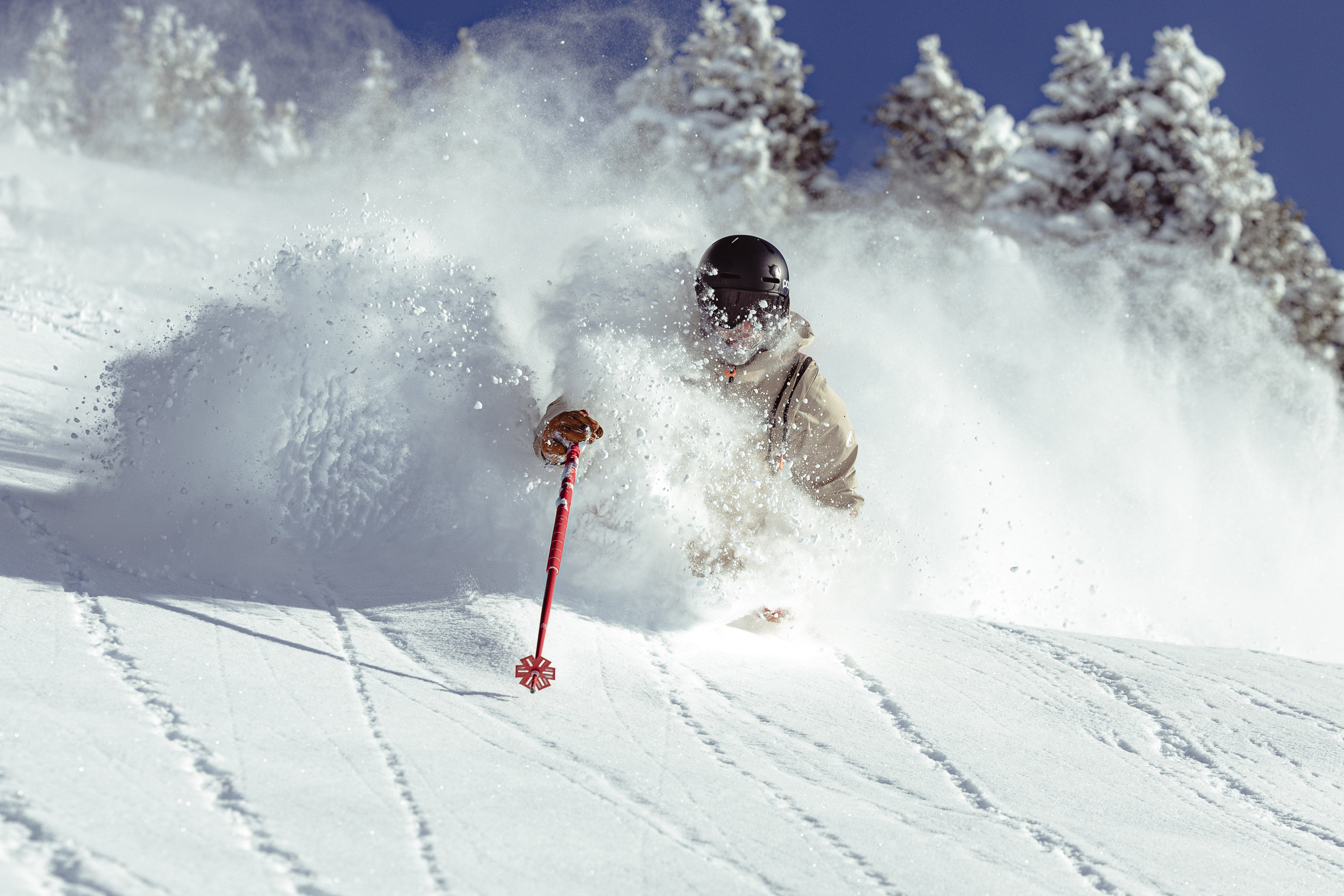 Freeride – Kang