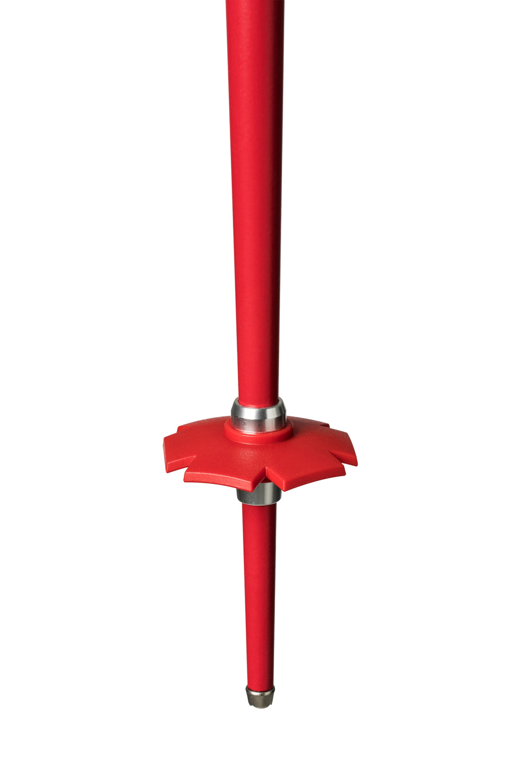 Recycled 22 Adjustable Freeride